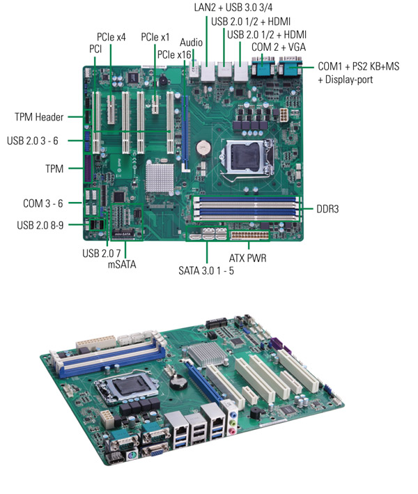 IMB211_1.jpg