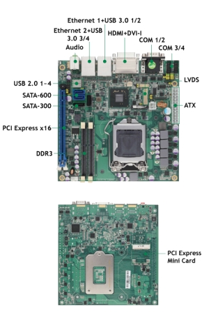 MANO871-2.jpg